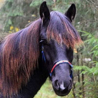 Min Lilla Framtid