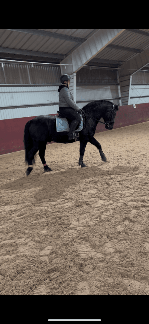 Media 6 av Ängsgårdenen sonny