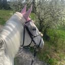 Profilbild av Emma Olsson