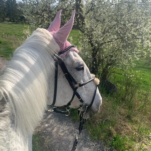 Profilbild av Emma Olsson