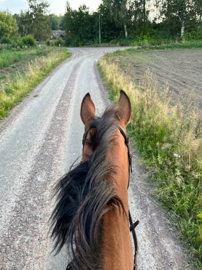 Inlägg 2 av Halvblod med titeln När jag var ute och red