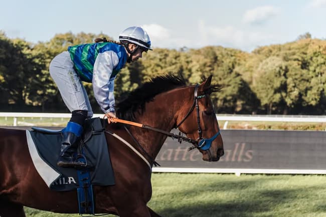 Full galopp 🐎