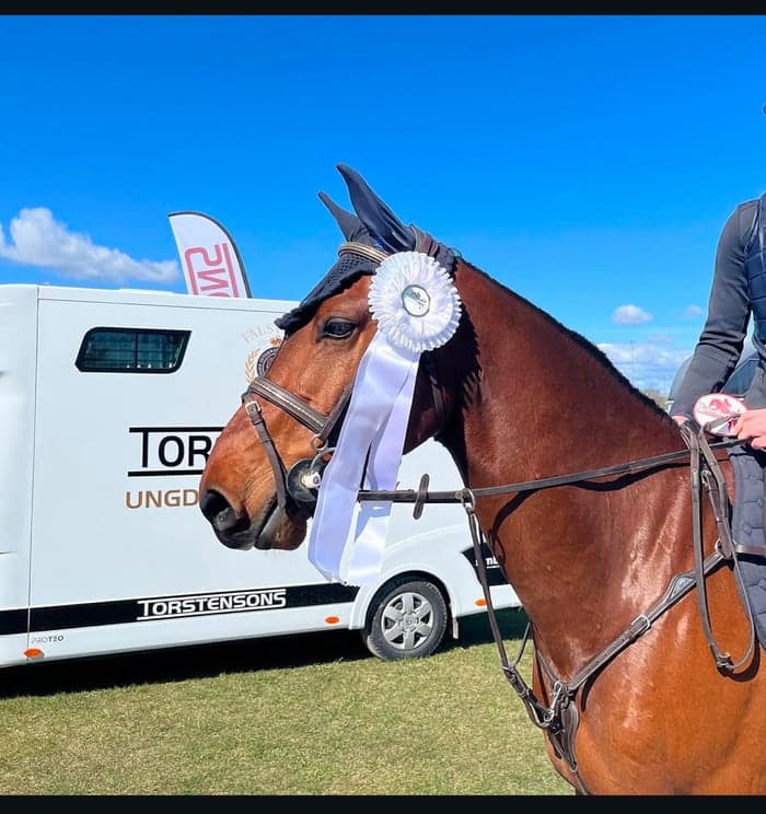 Media 2 av Shine bright