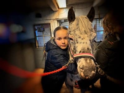 Post 1 of British Spotted Pony with title På besök hos vår gamla ponny Bella