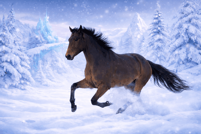 Media 1 av Boley Mickey Finn