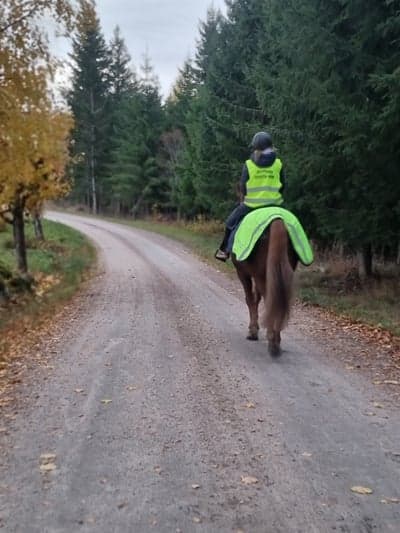 Inlägg 88 av Allround