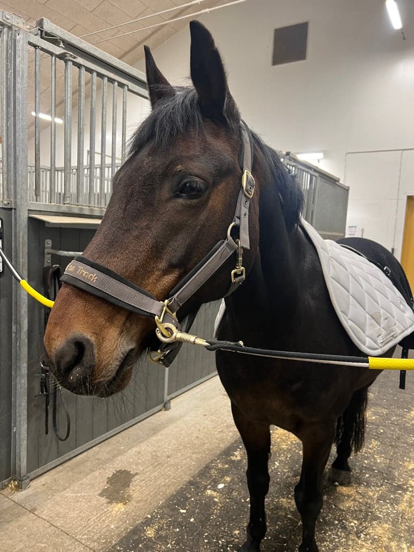 Bild 1 av Bonnie girl