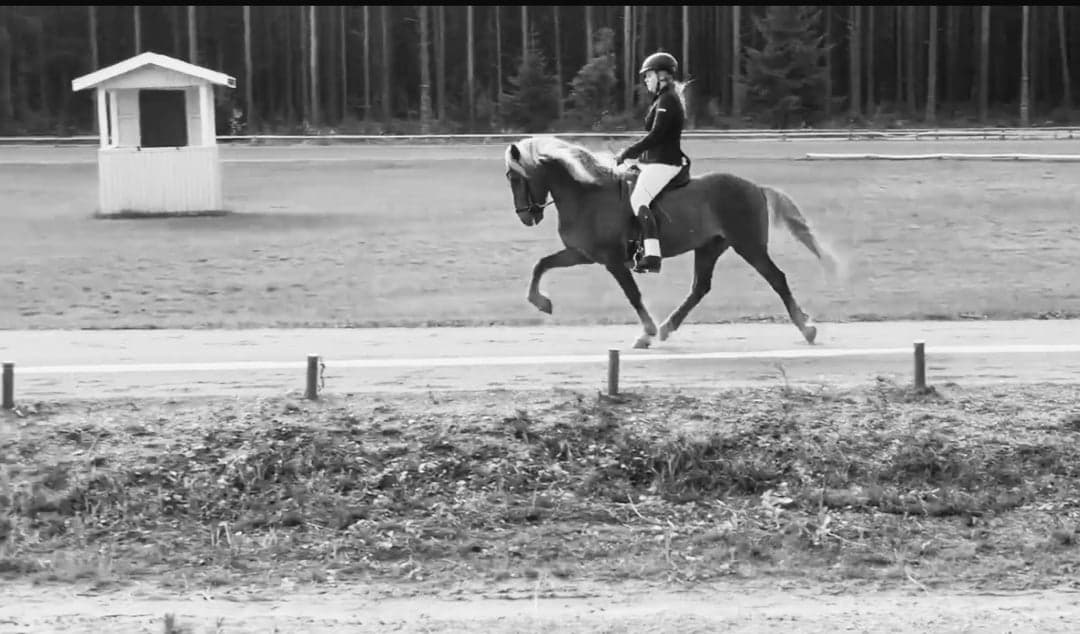 Bild 1 av Gustur frá Fremri-Gufudal