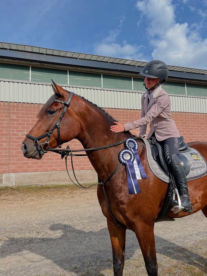 Media 2 av Ocean's Dream HX