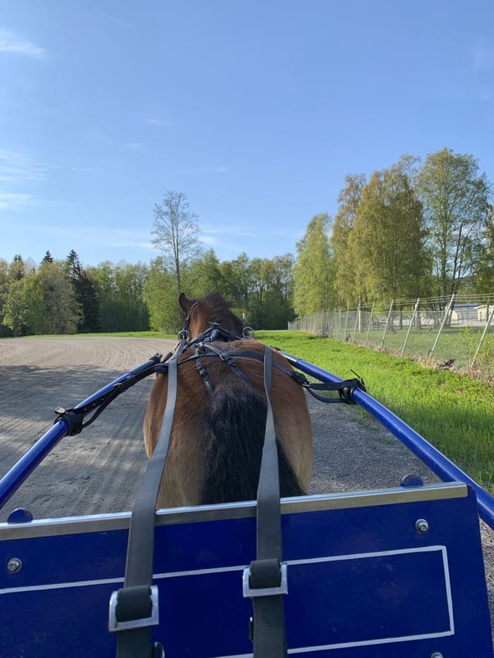 Media 2 av Norrgårdens Lurifax