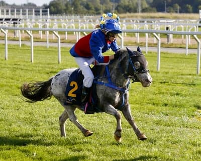 Inlägg 19 av Korsningsponny med titeln Ponnygalopp