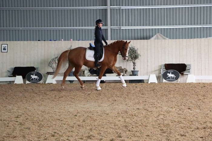 Media 1 av Snäll och fin unghäst