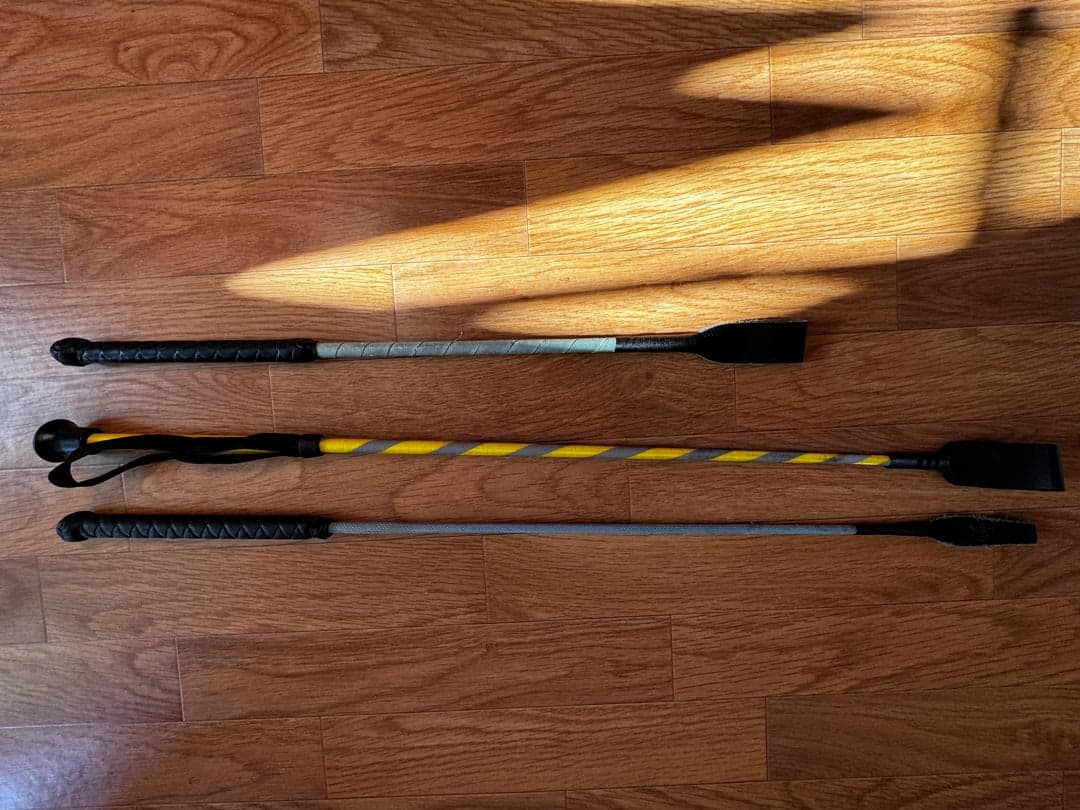 Bild 1 av 3 ridspön