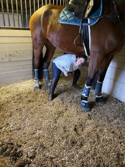 Inlägg 22 av Varmblodig ridhäst med titeln När man är stor får man vara snäll 🥰