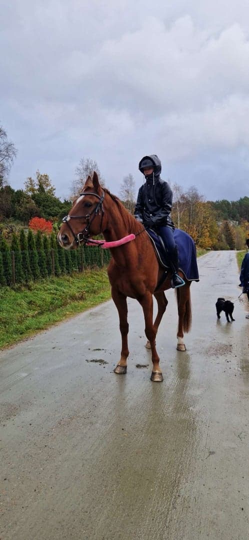 Media 9 av M.M.Hot For Cash