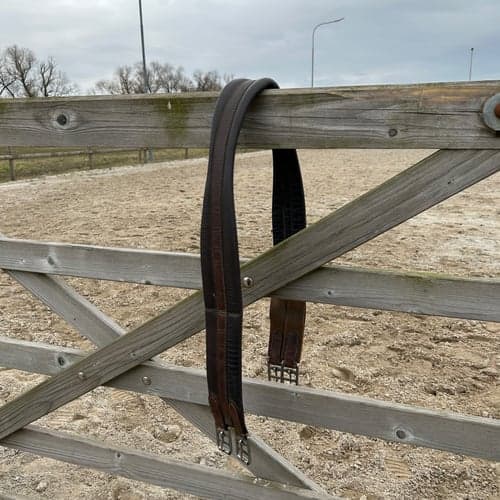 Bild av Brun sadelgjord