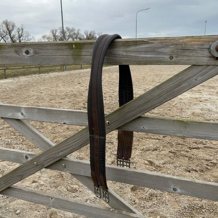 Media 1 av Brun sadelgjord