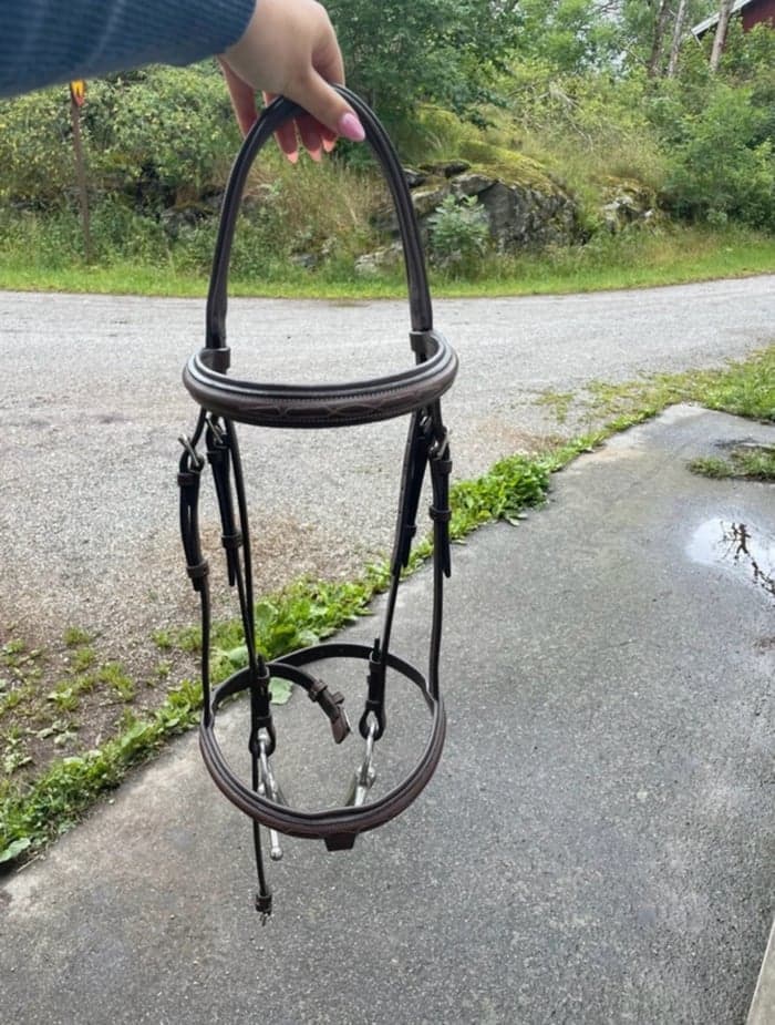 Media 2 of Brunt träns