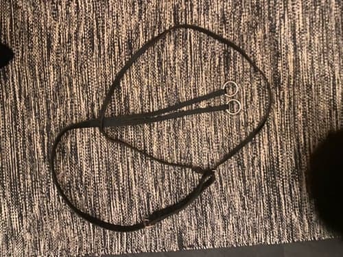 Bild av Brun martingal