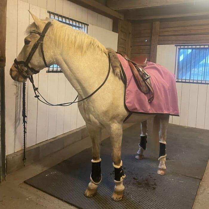 Media 1 av Sörbys U Yellow