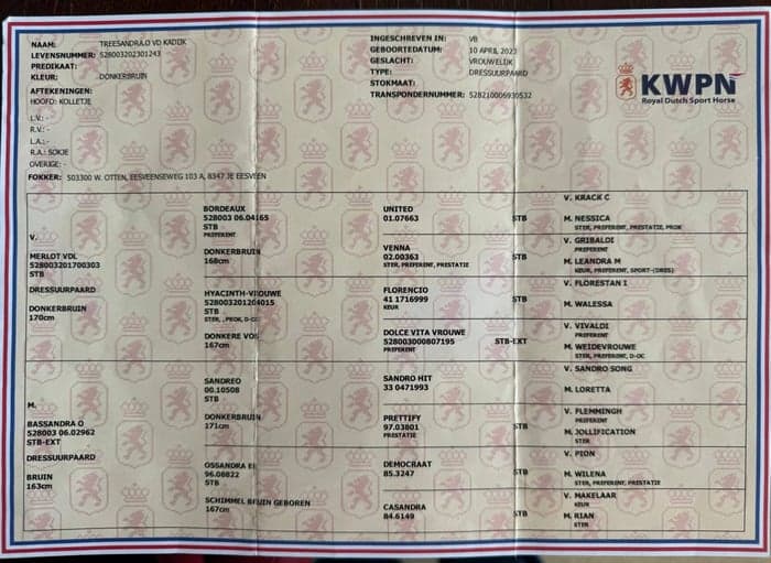 Media 6 av Treesandra. o vd Kaddik