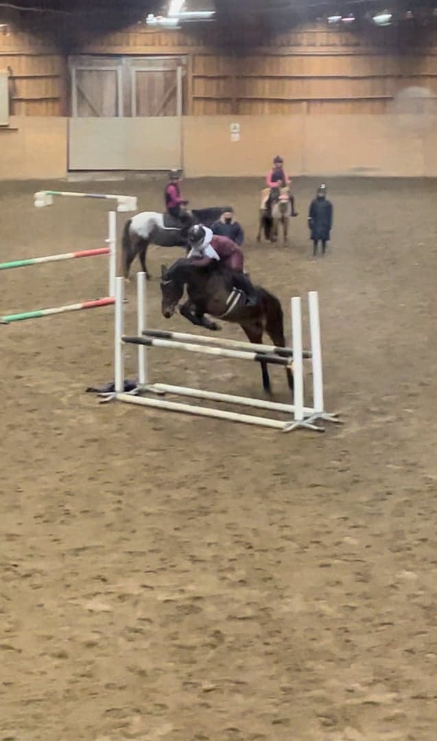 Media 6 av Rosscon May Leaf