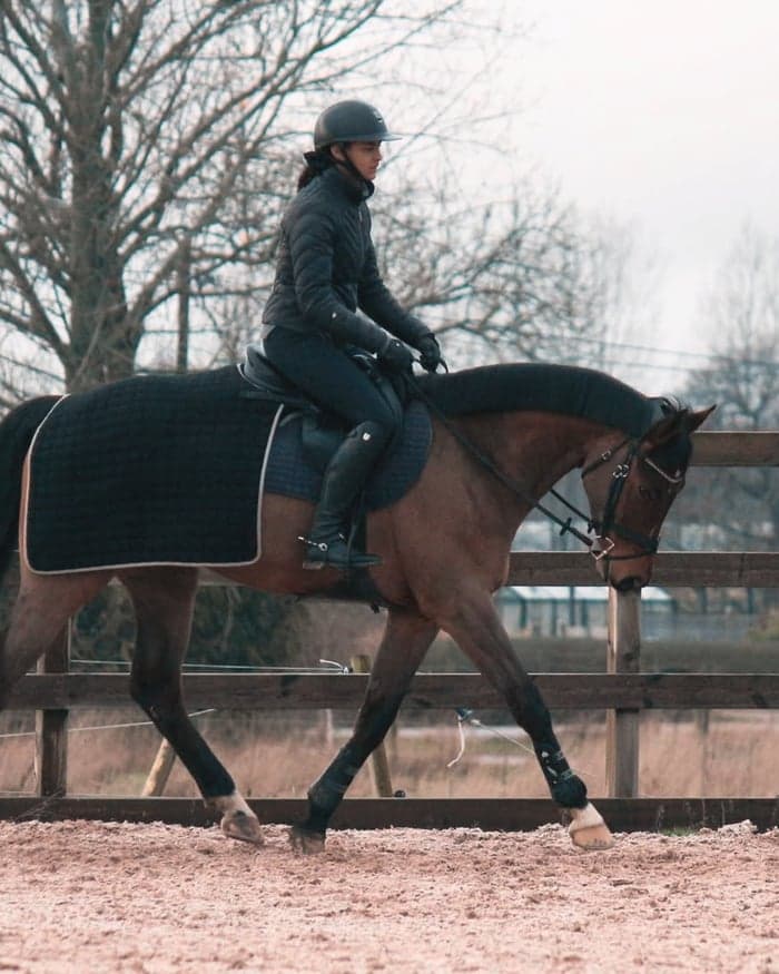 Media 4 av Professionell utbildning & tävling av din häst