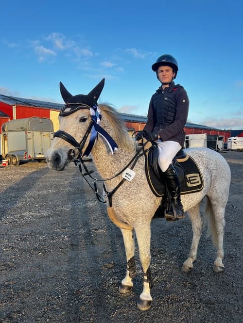 Image of Häftig c-ponny söker ny kompis