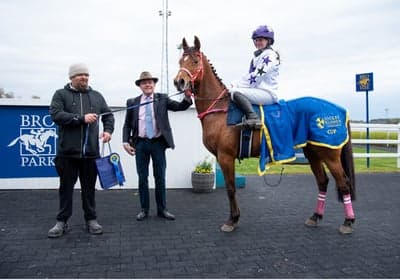 Inlägg 42 av Allround med titeln Bro Park 5/5