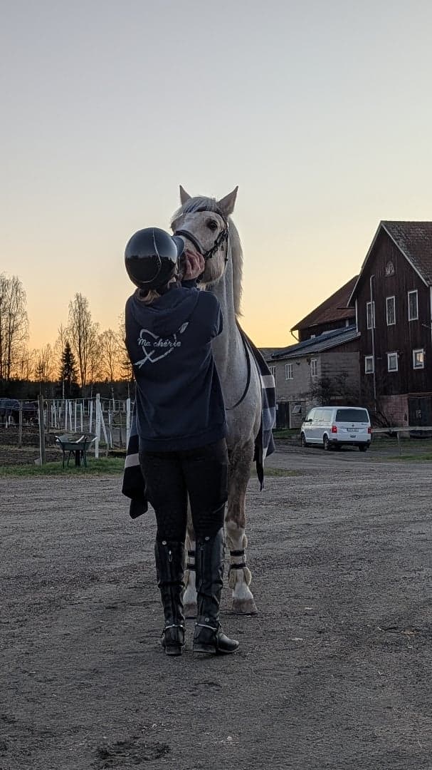 Media 2 av Nexis Lendox