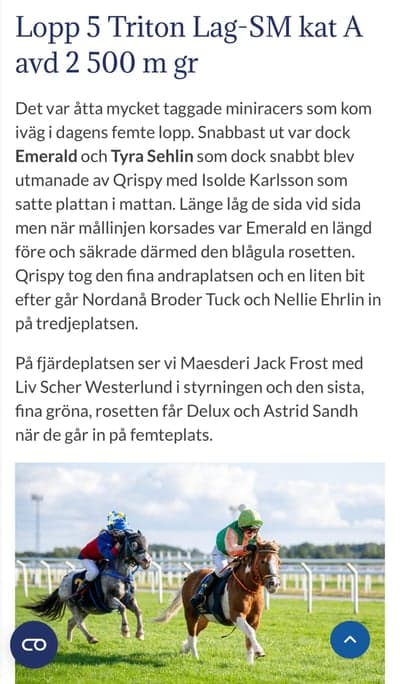 Inlägg 3 av Welsh Mountain med titeln Referat