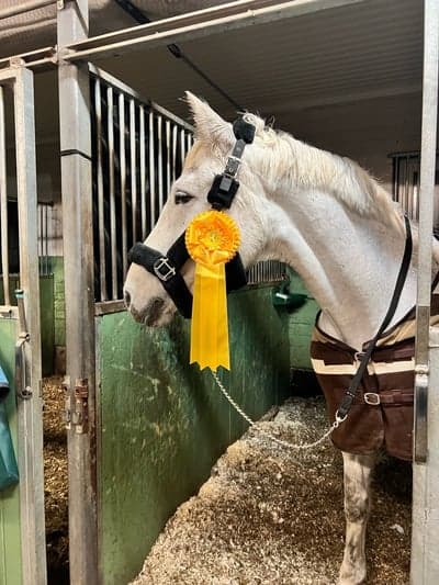 Inlägg 316 av Hoppning med titeln Geten tog hem 3 planering 🥉