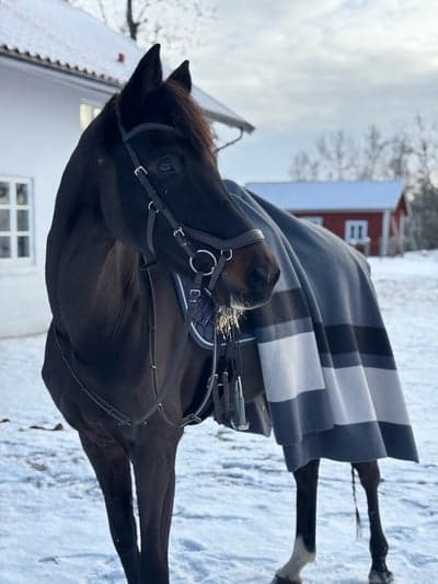 Christ's princess cäsaria