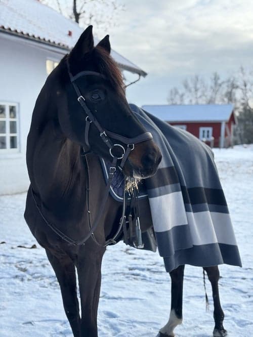 Bild av Feminint sto söker bästa vän🩷