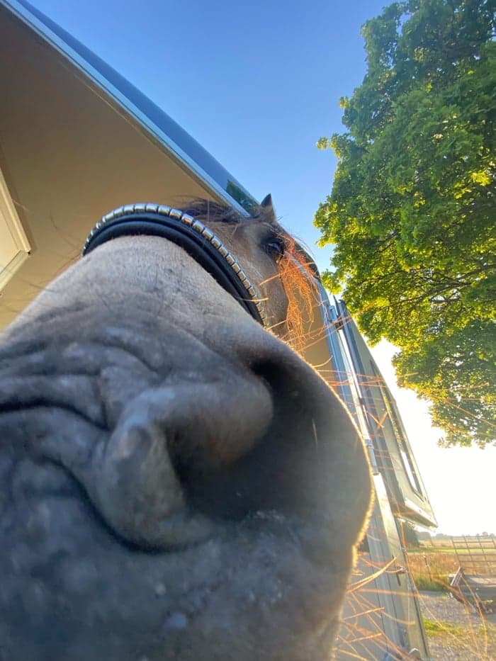 Media 1 av Pyramiden