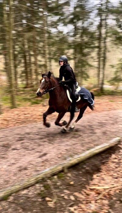 🐎💨