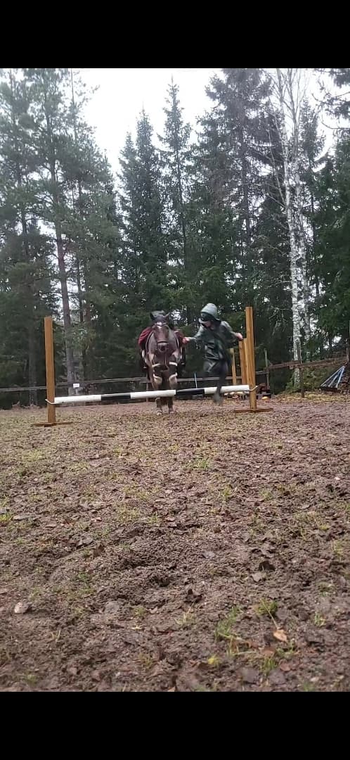 Media 8 av Jammi Dodger