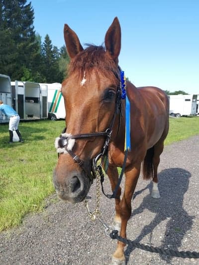 Inlägg 299 av Hoppning med titeln Första starten i 1m