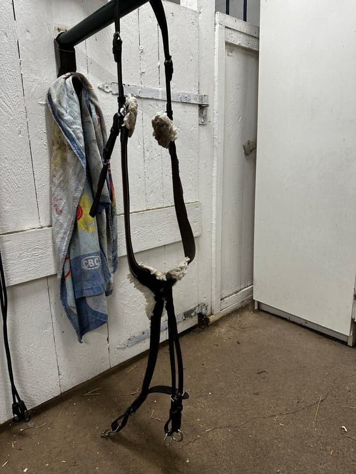 Media 1 av Brun förbygel, ponny