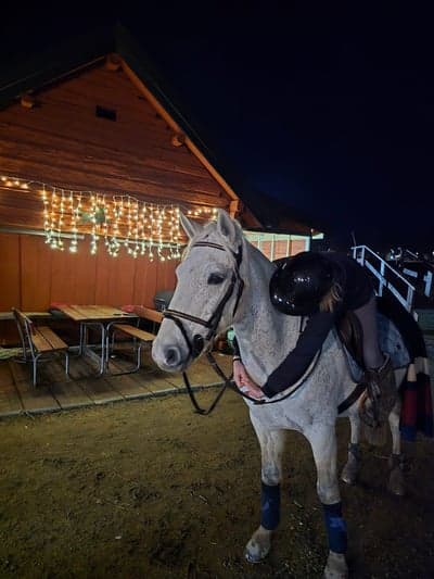 Inlägg 6 av Allround