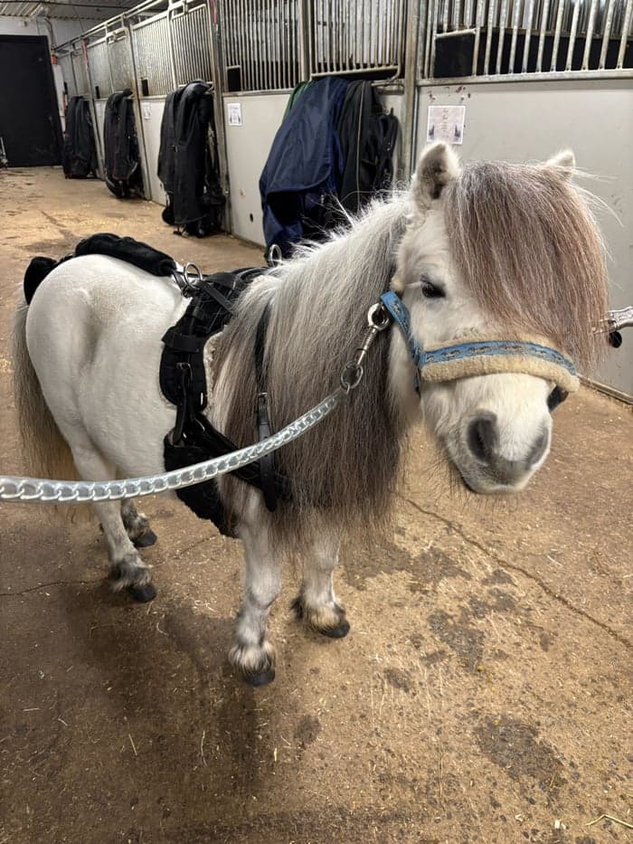 Media 1 av Bobergs Lexus