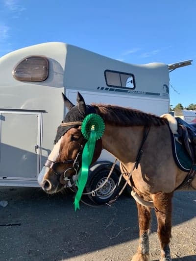 Inlägg 233 av Hoppning med titeln 5 i lätt C