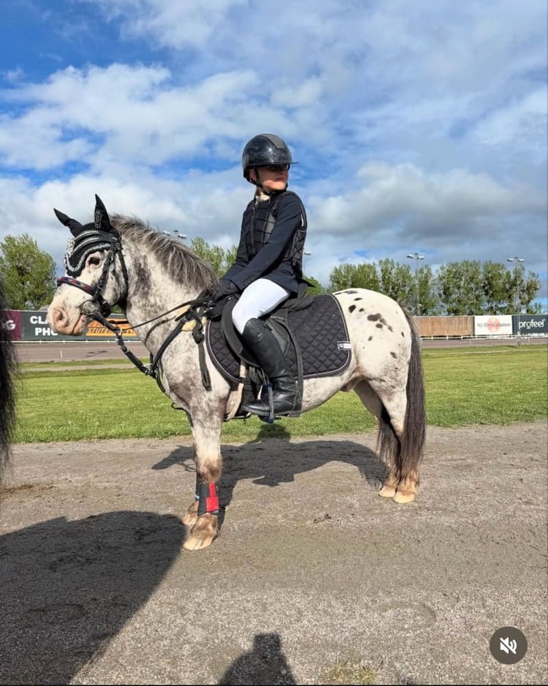 Bild 3 av Qrispy