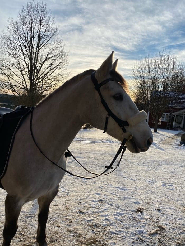 Media 1 av Clonkela Crispy