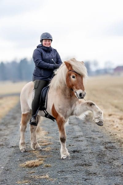 Inlägg 86 av Allround med titeln Kongur min kung ❤️