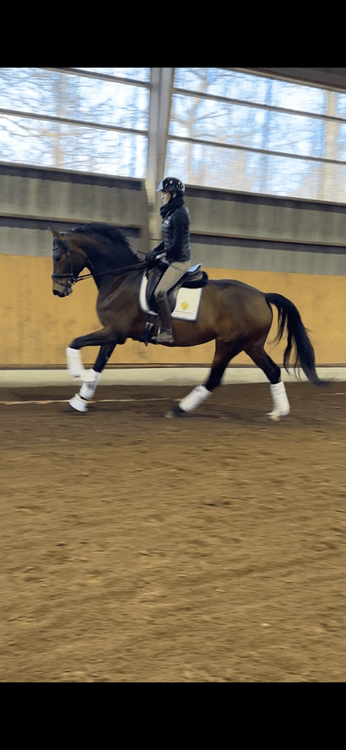 Bild 1 av Res Judicata