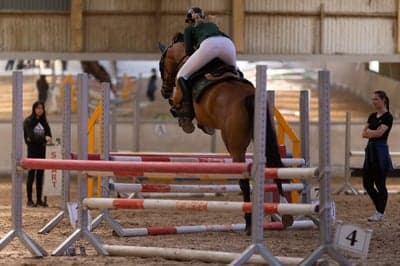 Inlägg 23 av Danskt varmblod med titeln Første stævne med Cookie