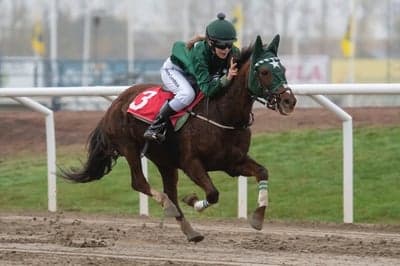 Inlägg 9 av Galopp med titeln Vinst i säsongsavslutningen🤩