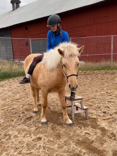 Inlägg 17 av Allround med titeln Första gången på Arturs rygg! 