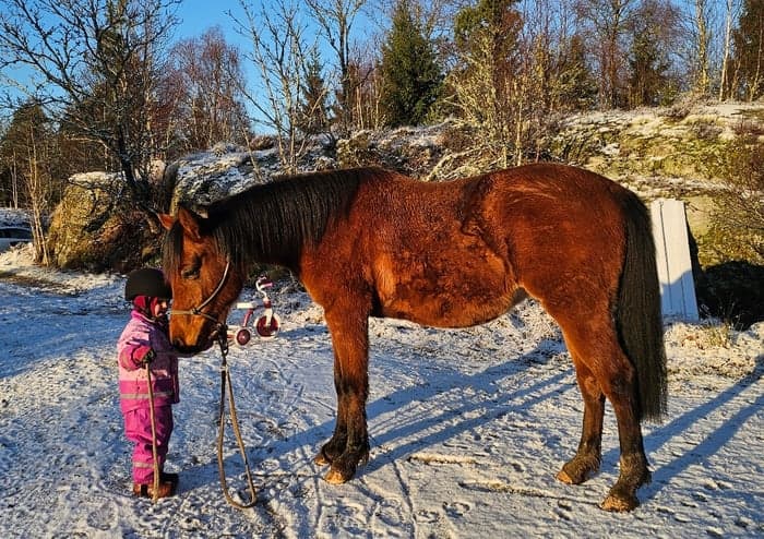 Media 4 of Ákombákom